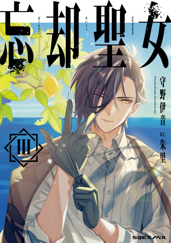 忘却聖女III (SQEXノベル)