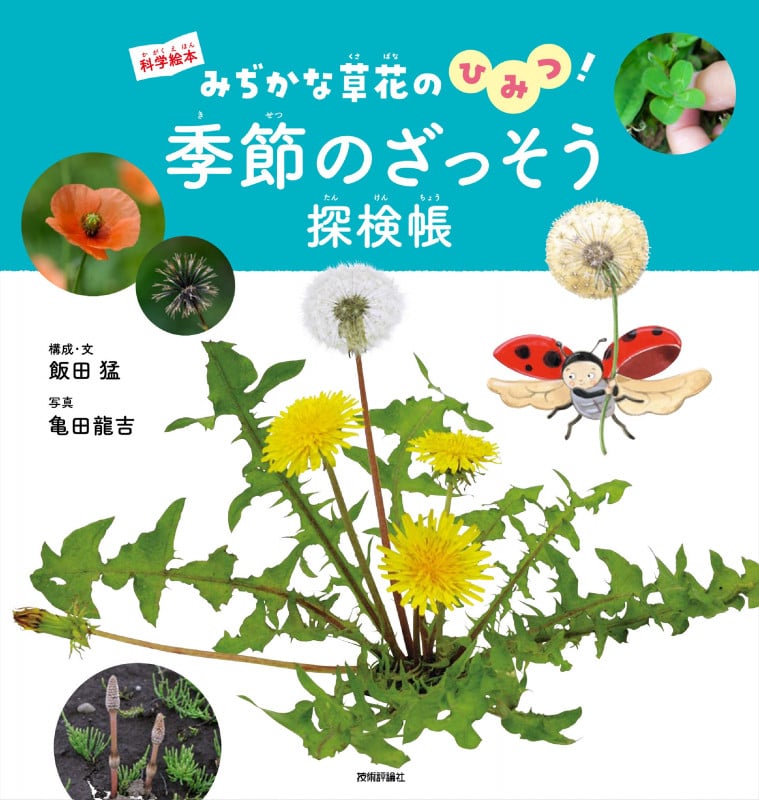 季節のざっそう 探検帳 みぢかな草花のひみつ! (科学絵本)