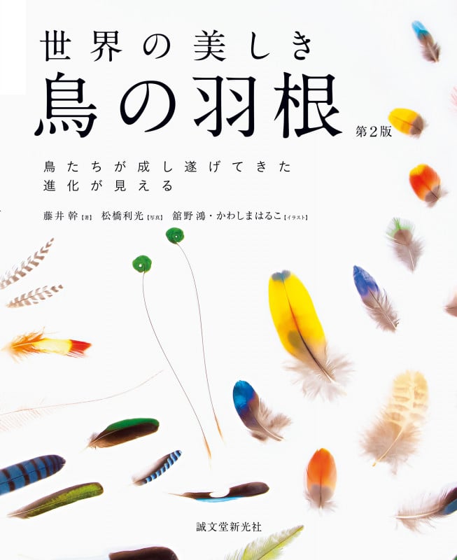 世界の美しき鳥の羽根 第2版 鳥たちが成し遂げてきた進化が見える