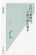 2円で刑務所、5億で執行猶予 (光文社新書)