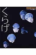 くらげ (アスペクト・ライトボックス・シリーズ)
