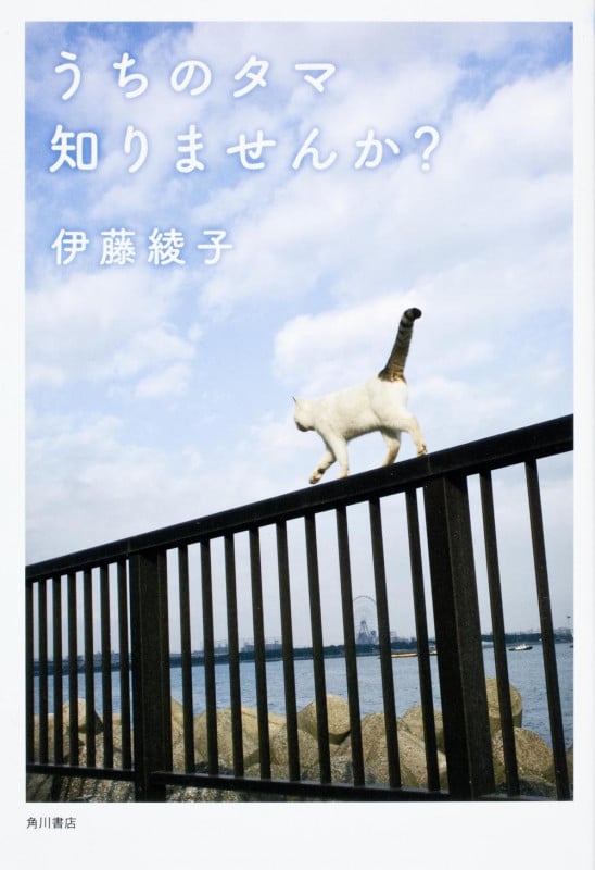 うちのタマ知りませんか?