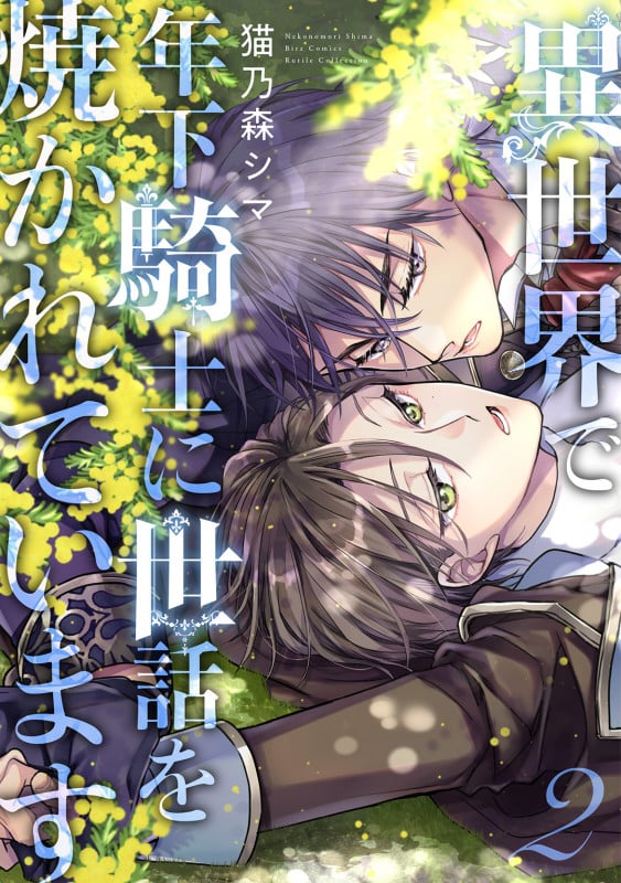 異世界で年下騎士に世話を焼かれています (2) (バーズCルチルコレクション)の詳細を見る