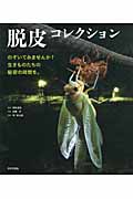 脱皮コレクション