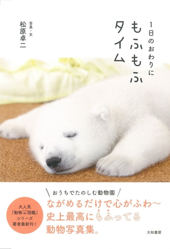 写真集 1日の終わりにもふもふタイム