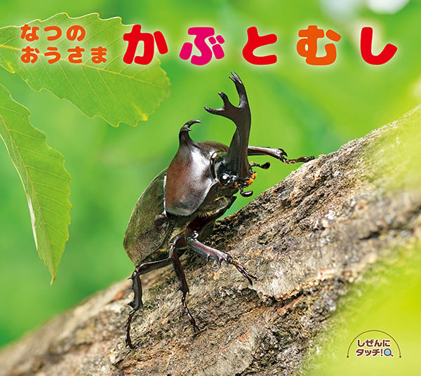 なつのおうさまかぶとむし しぜんにタッチ! (しぜんにタッチ!)