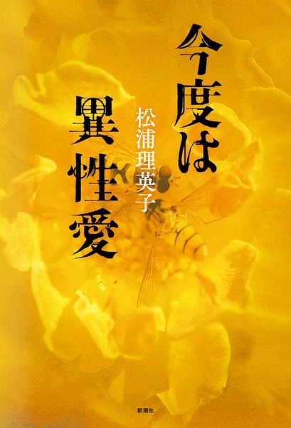 今度は異性愛