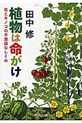 植物は命がけ 花とキノコの不思議なしくみ (中公文庫)