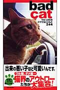 bad cat ワルっぷりのイケてるにゃんこ244