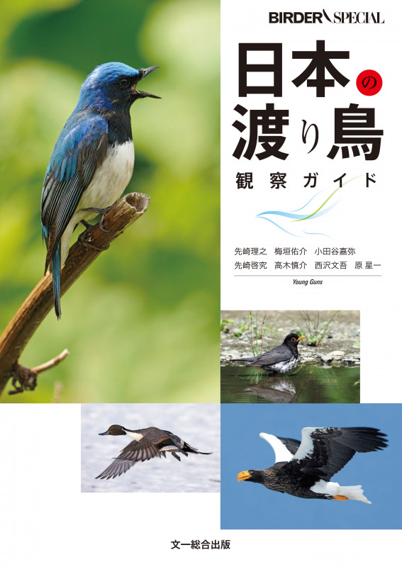 日本の渡り鳥観察ガイド (BIRDER SPECIAL)