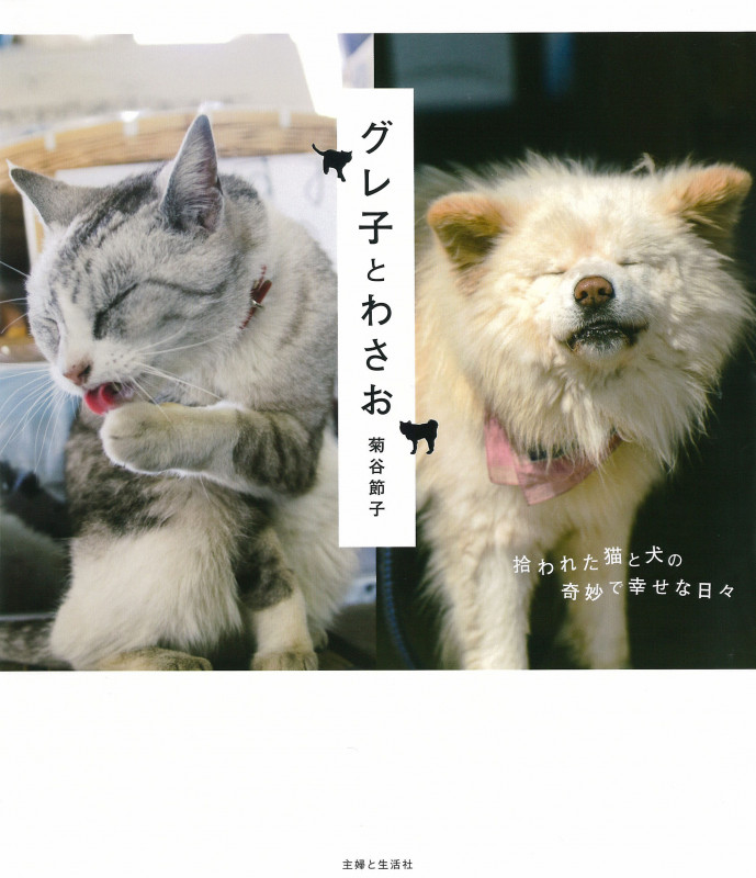 グレ子とわさお 拾われた猫と犬の奇妙で幸せな日々