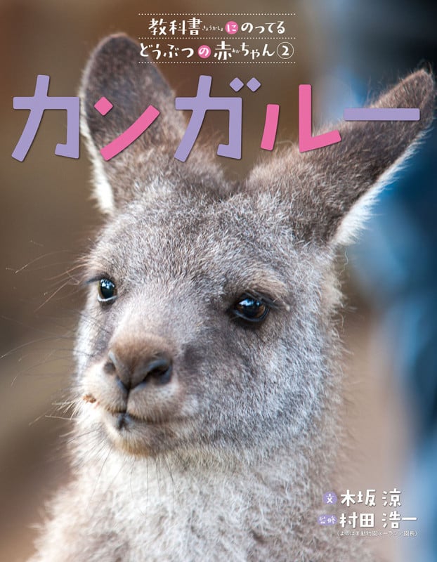 カンガルー (教科書にのってるどうぶつの赤ちゃん 2)