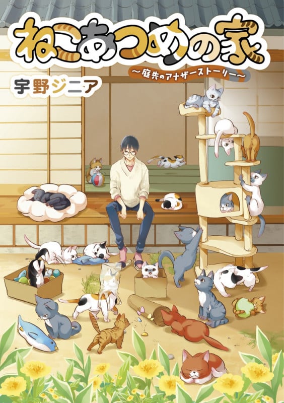 ねこあつめの家 庭先のアナザーストーリー (ビッグC)