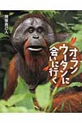 オランウータンに会いに行くの詳細を見る