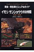 イモリ・サンショウウオの仲間の詳細を見る