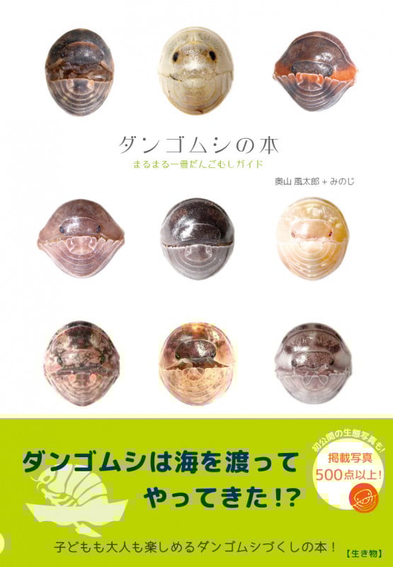 ダンゴムシの本 まるまる一冊だんごむしガイド~探し方、飼い方、生態まで