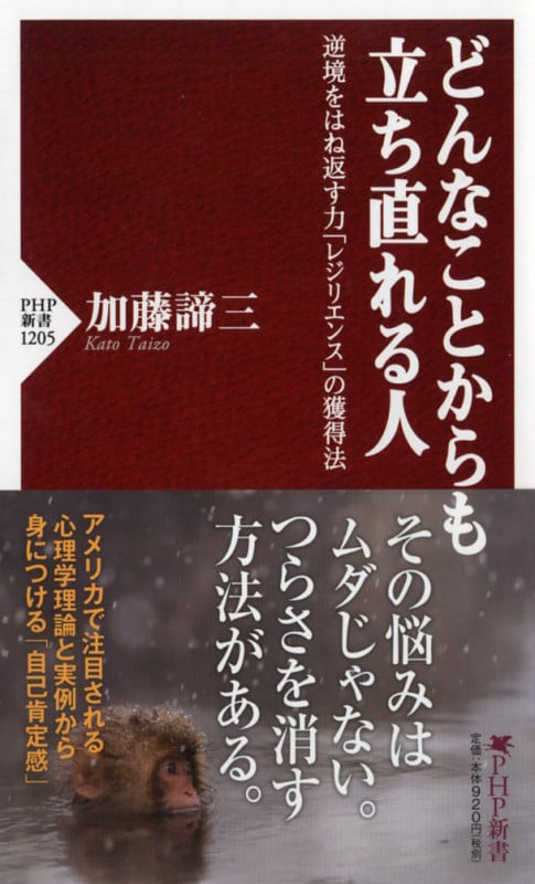 どんなことからも立ち直れる人 逆境をはね返す力「レジリエンス」の獲得法 (PHP新書)