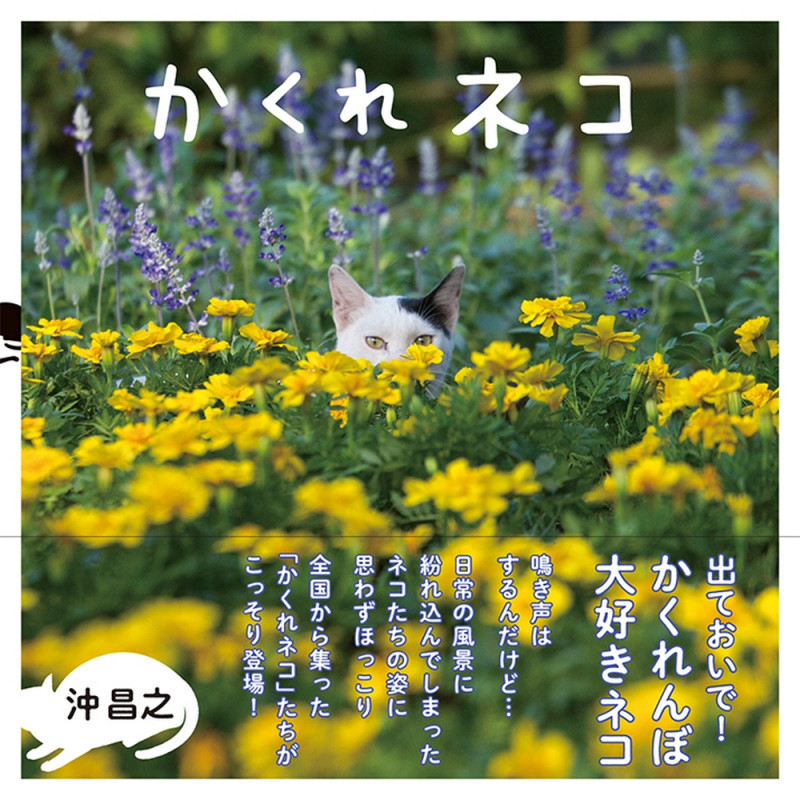 写真集 かくれネコ