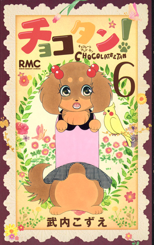 チョコタン! (6) (りぼんマスコットC)