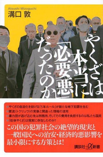 やくざは本当に「必要悪」だったのか (講談社+α新書)
