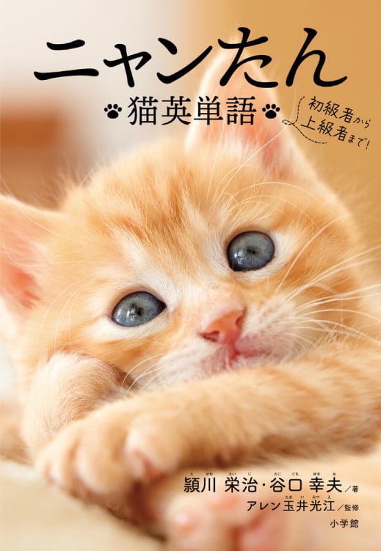 ニャンたん 猫英単語