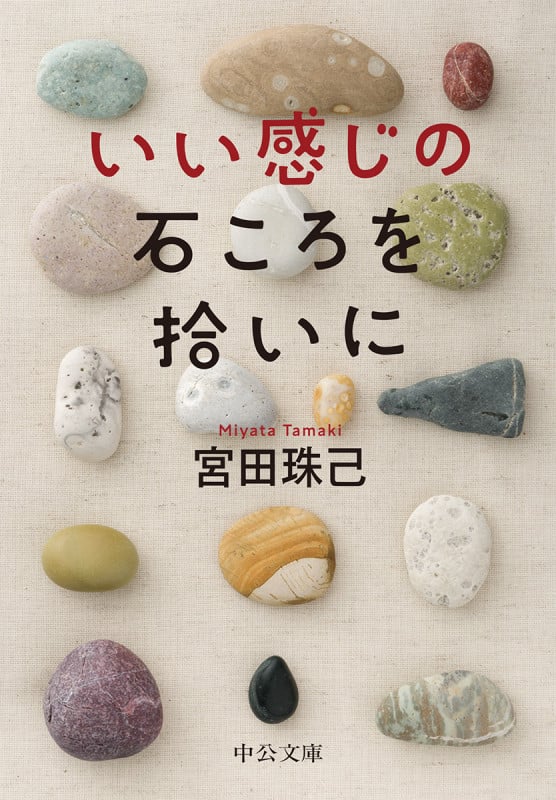 いい感じの石ころを拾いに (中公文庫)