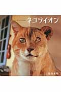 写真集 ネコライオン