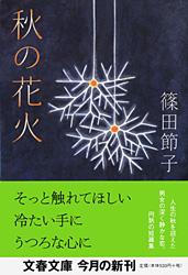 秋の花火 (文春文庫)の詳細を見る