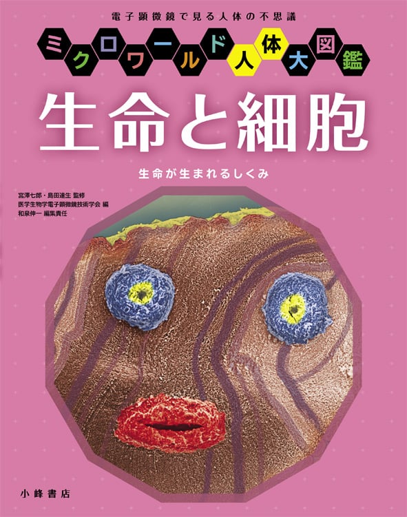 生命と細胞 生命が生まれるしくみ (ミクロワールド人体大図鑑)