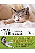 カワイイ!道民にゃんこ