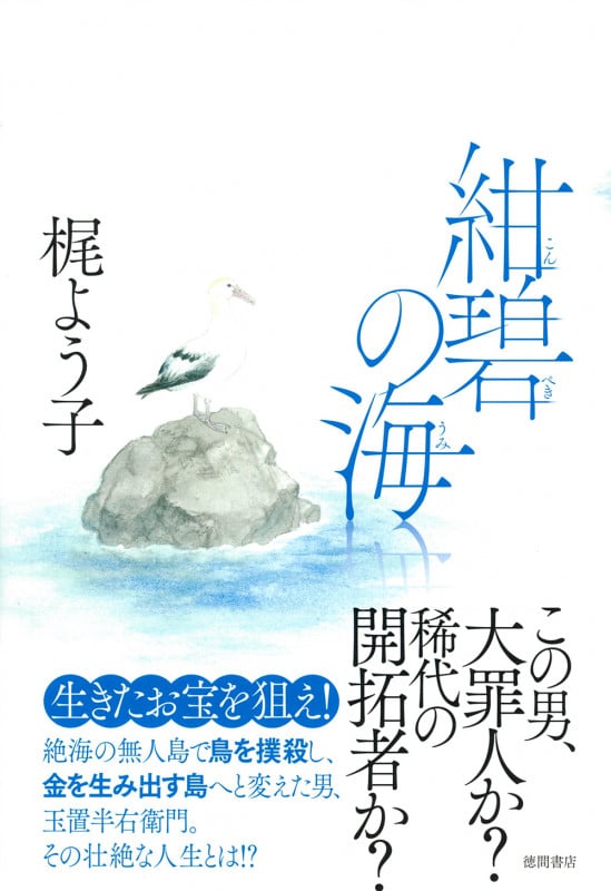 紺碧の海の詳細を見る