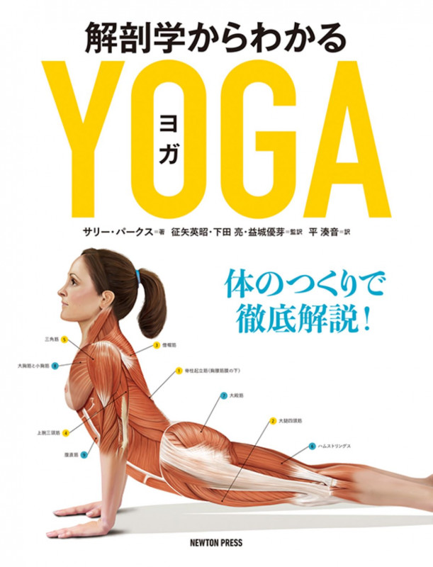 解剖学からわかるヨガ 体のつくりで徹底解説!