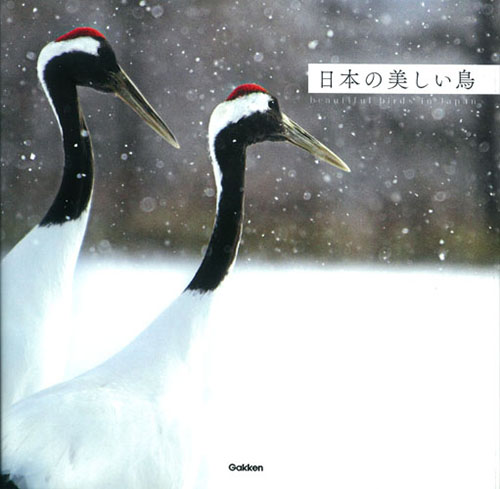 日本の美しい鳥の詳細を見る
