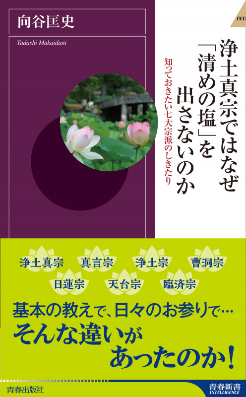浄土真宗ではなぜ「清めの塩」を出さないのか (青春新書インテリジェンス)の詳細を見る
