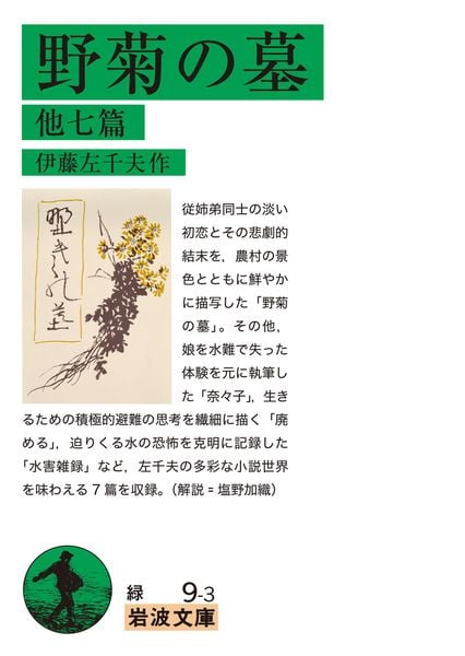 野菊の墓 他七篇 (岩波文庫 緑9-3)