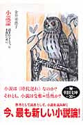 小説論 読まれなくなった小説のために (朝日文庫)