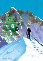 岳 (17) (ビッグ コミックス)