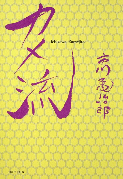 カメ流の詳細を見る