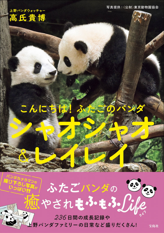こんにちは!ふたごのパンダ シャオシャオ&レイレイ