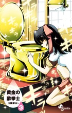 黄金の酔拳士 3 (少年サンデーコミックス)