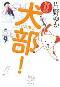 北里大学獣医学部 犬部!