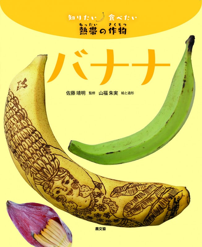 バナナ (知りたい食べたい熱帯の作物)の詳細を見る