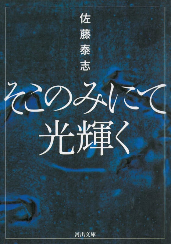 そこのみにて光輝く (河出文庫)