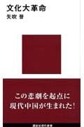 文化大革命 (講談社現代新書)の詳細を見る