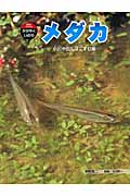 メダカ 小川や田んぼにすむ魚 (科学のアルバム・かがやくいのち 10)