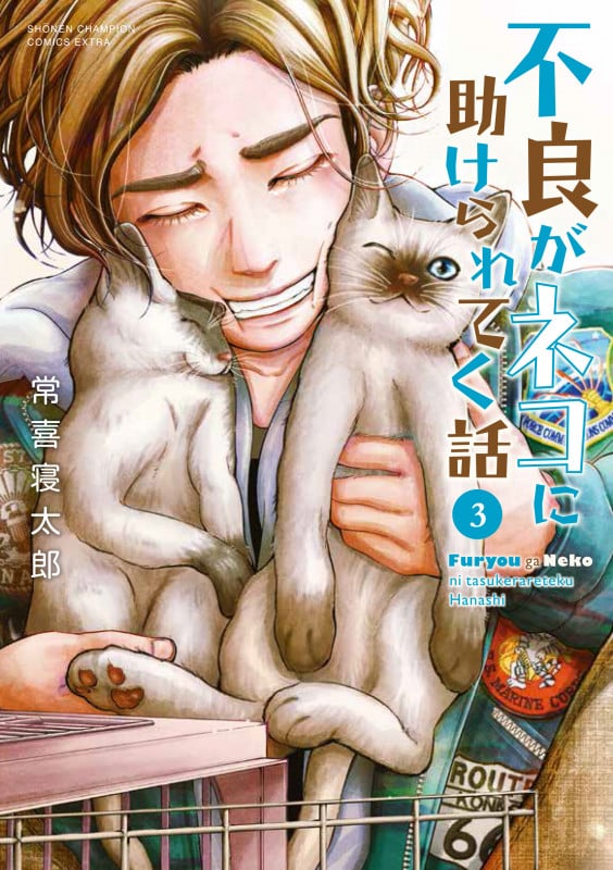 不良がネコに助けられてく話 (3) (チャンピオンCエクストラ)