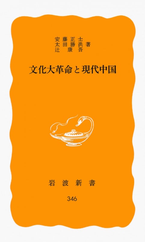 文化大革命と現代中国 (岩波新書 346)