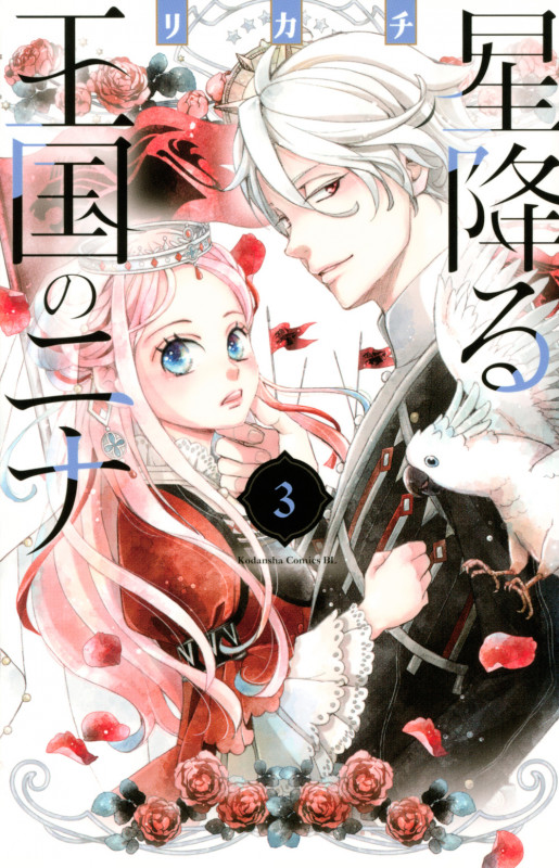 星降る王国のニナ(3) (BE LOVE KC)