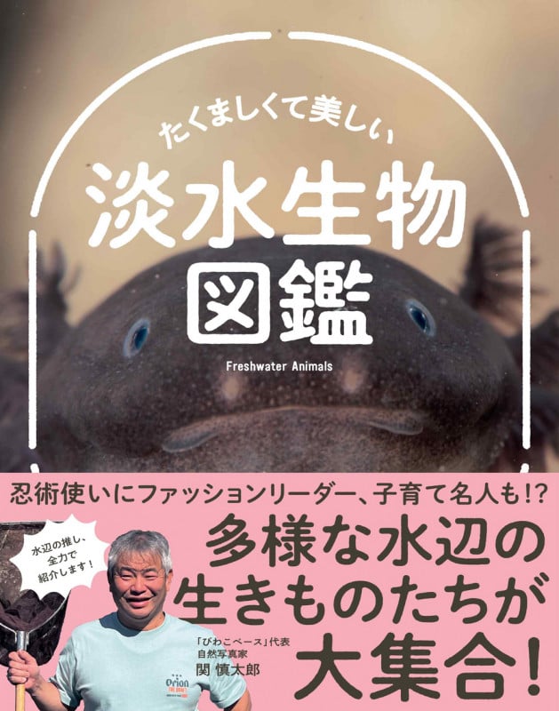 たくましくて美しい 淡水生物図鑑