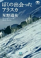 ぼくの出会ったアラスカ(小学館文庫)